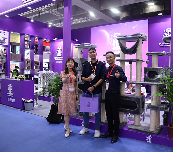 Основные моменты CIPS