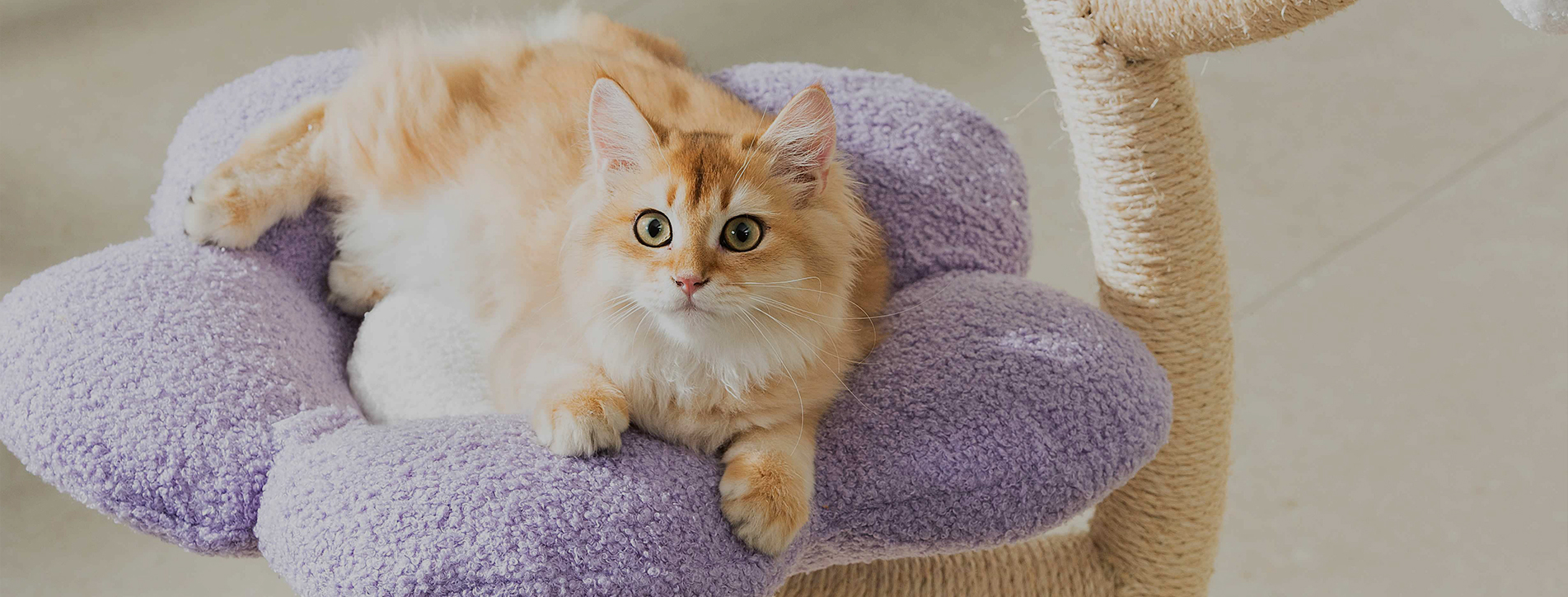 Производитель кошачьих домиков