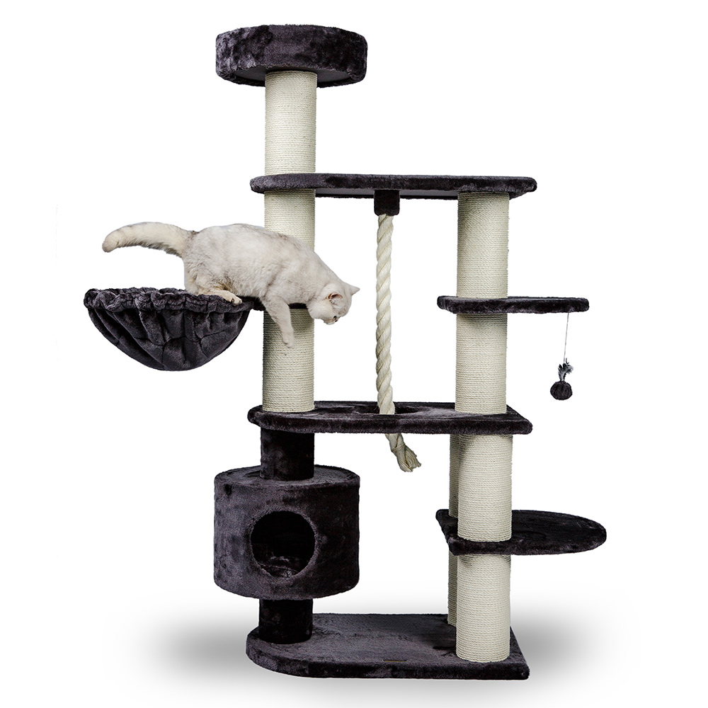 cat scratching furniture